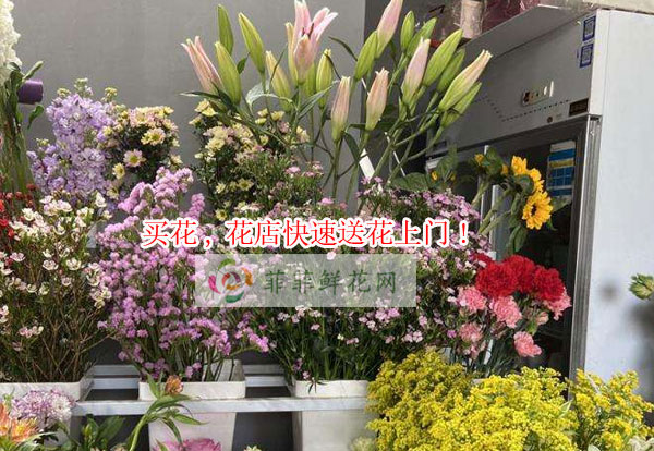 临沂郯城县买花,临沂郯城县花店快速送花上门!